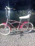 Bicicleta pegas 20