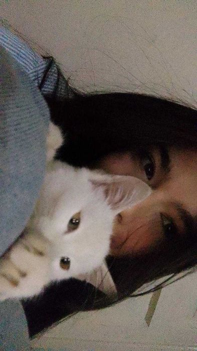 Bepul beriladi. Faqatgina yaxshi qarayman degan odamga