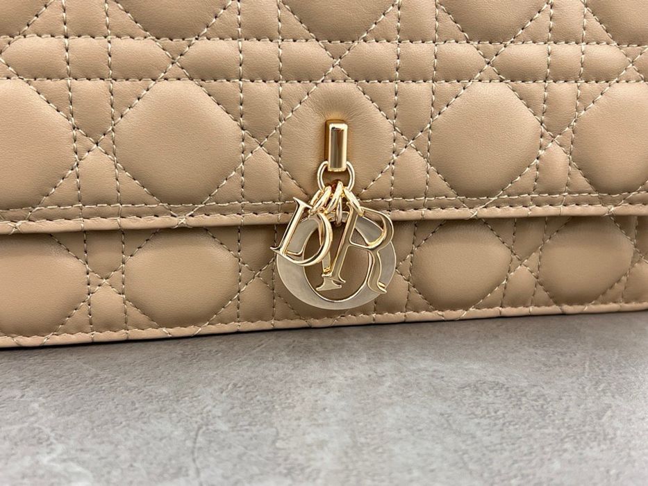 Geanta Christian Dior