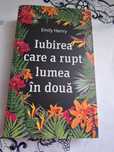 Carte ficțiune, Iubirea care a rupt lumea în  două