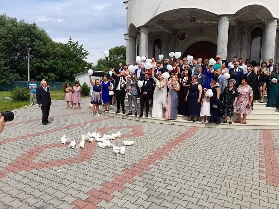 Fum Greu, Porumbei, Gheata Carbonica, Event Planer