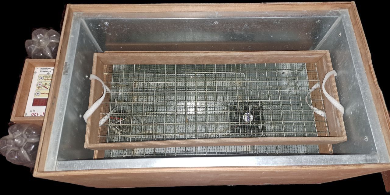 Inkubator blis 120 talik sotiladi