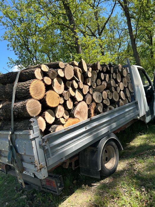 Lemne de foc stejar!