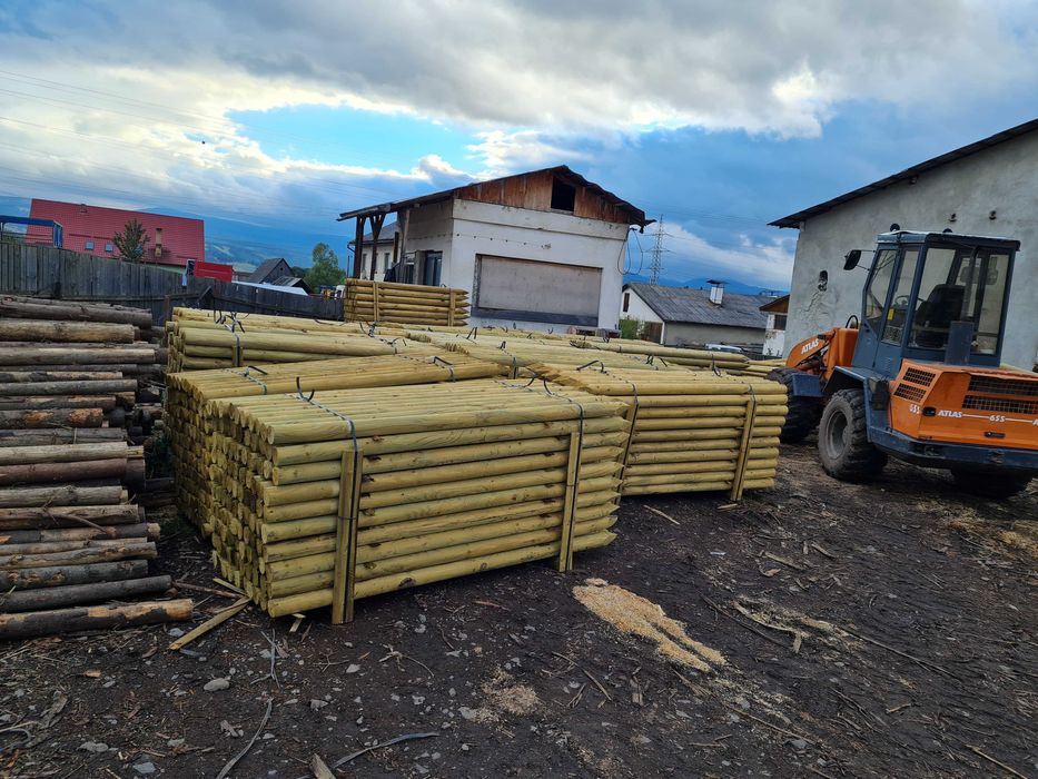 Tutori pentru arbori plantati proaspat