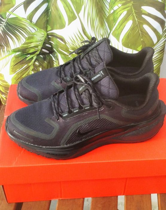 Nike Pegasus Gore-tex 40