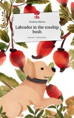 Labrador in the rosehip bush