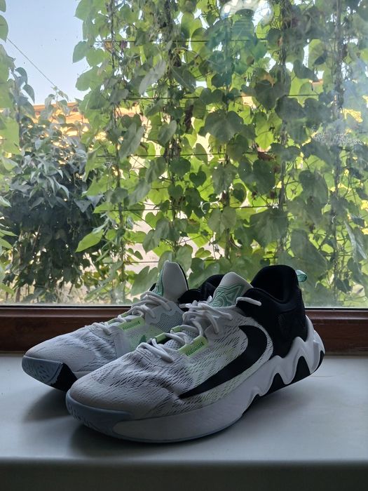 Спортивные кроссовки Nike Giannis immortality 2