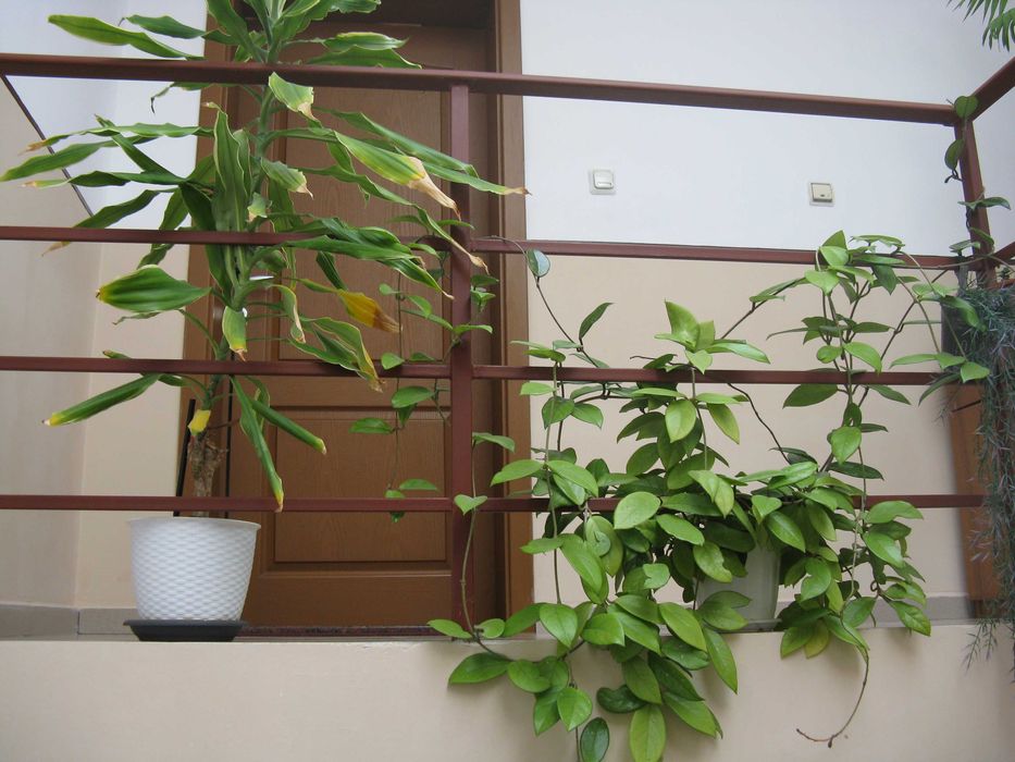 фотоапарат Canon PowerShot A720 IS 8МРх