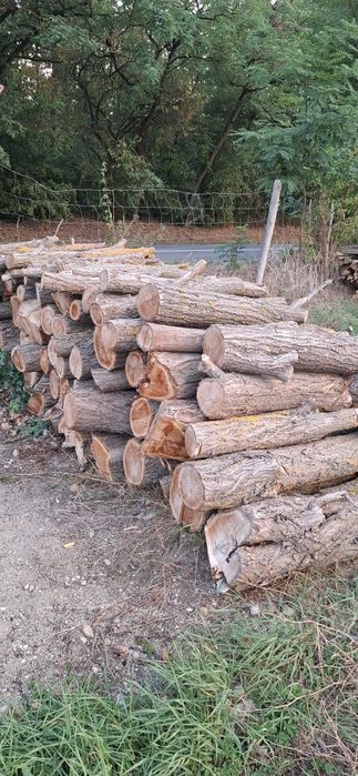 Lemn de foc de Salcim uscat