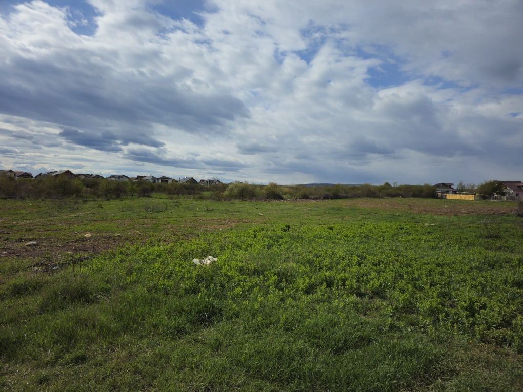 Vand parcele teren Targoviste langa rep Skoda ,Str.Calea Câmpulung