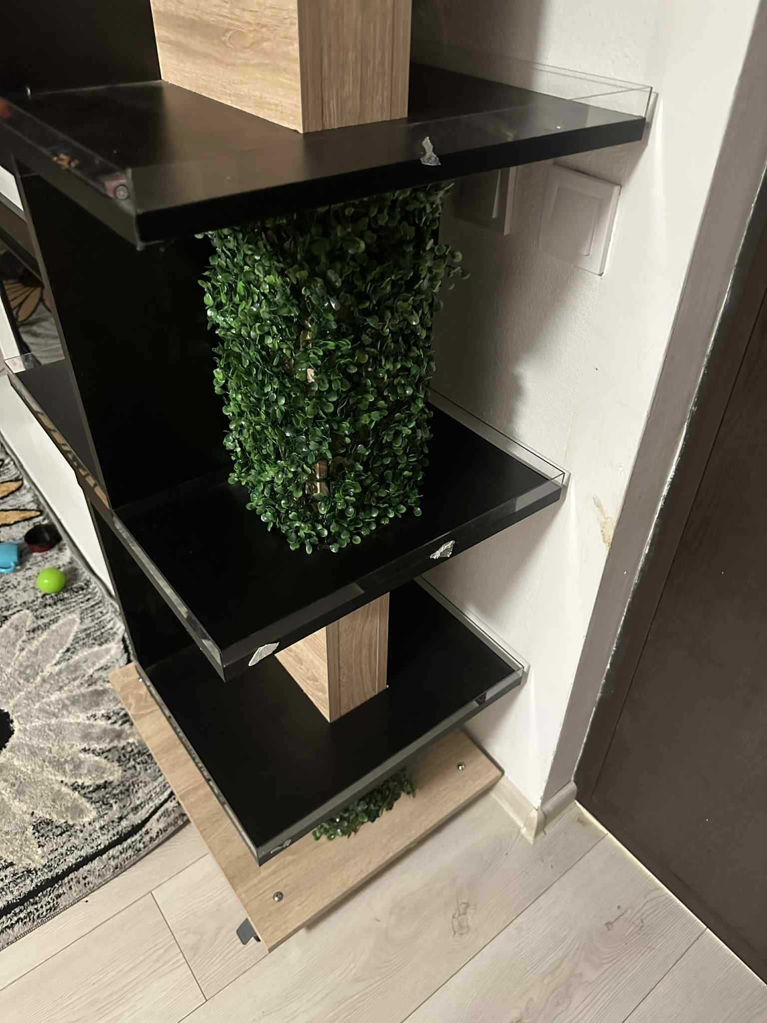 Ceva frumos de pus flori ghiveci sau ceva la expunere