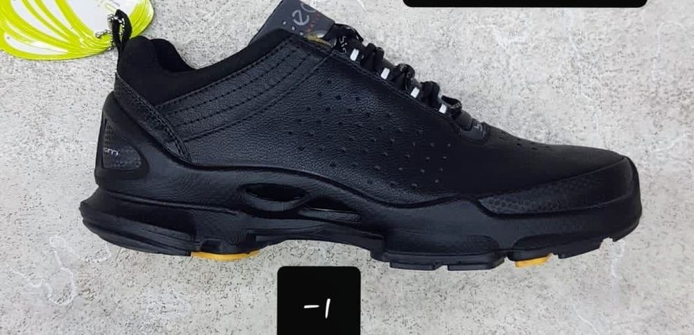 Демисезонная обувь ЕССО пять моделей