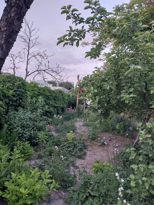 Продаётся уютный дом