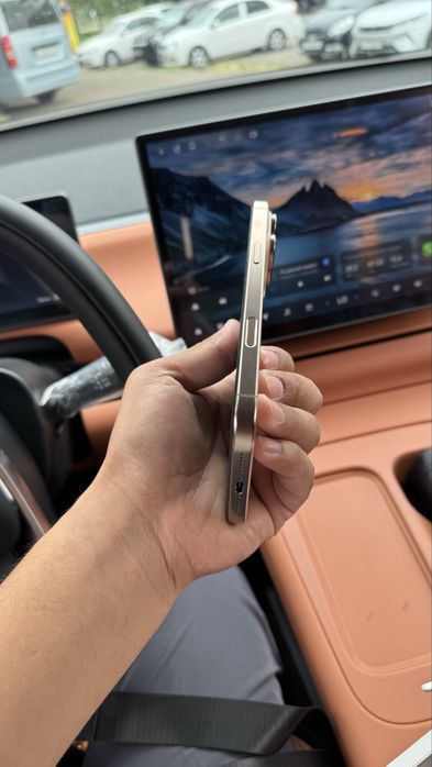 iPhone 16 Pro Max 256 dual