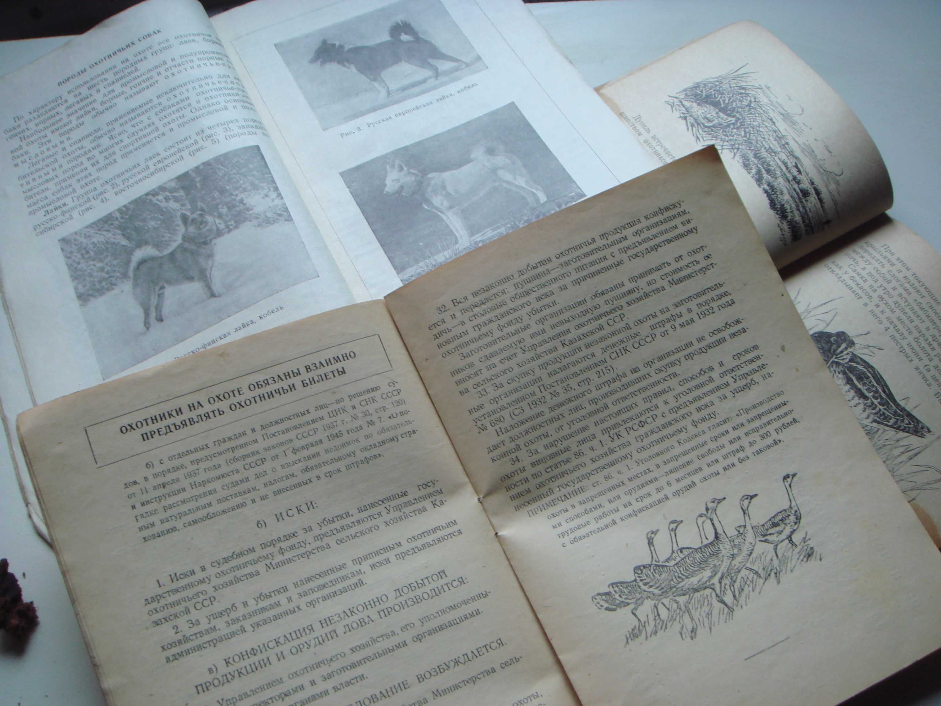 Редкие Книги Каз ССР по охоте и разведению собак 1951 года