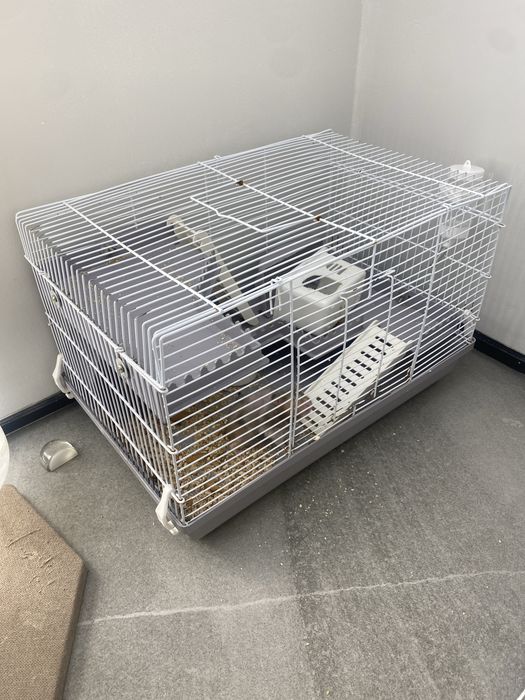 Продам 2 хомяка с клеткой…………………………………….