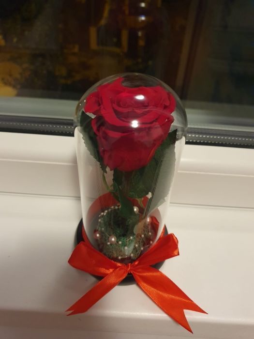 Trandafir criogenat ideal pt cadou
