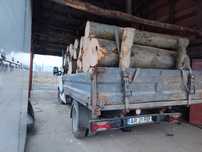 Lemne de foc esență tare