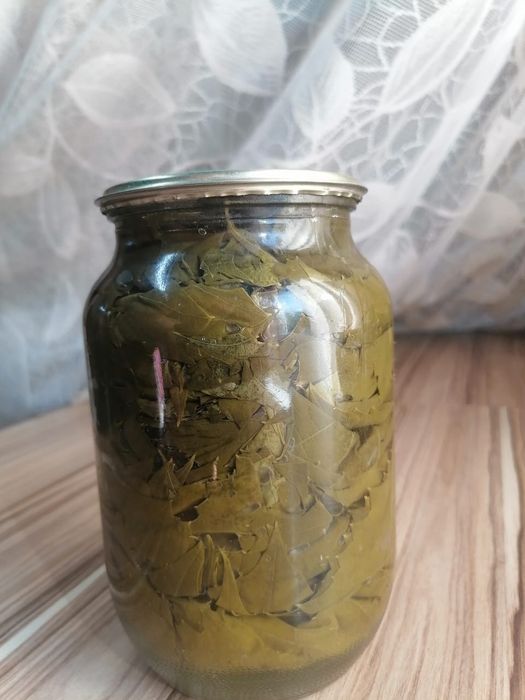 Продам маринованные виноградные листья на долму,