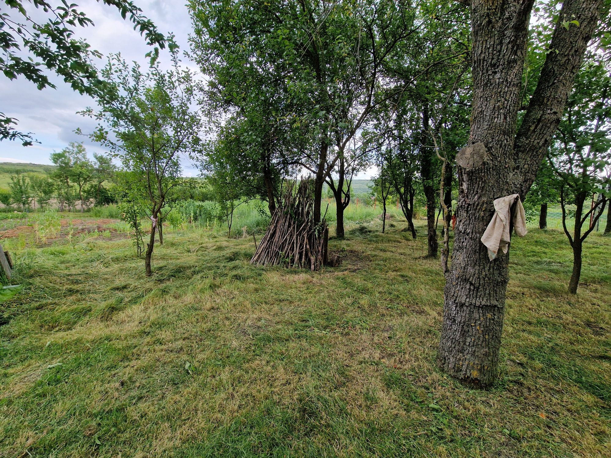 Teren intravilan în sat Feiurdeni, suprafața 1573mp
