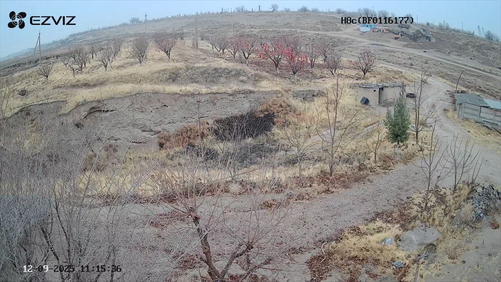 Бог 2гектар Гилос майский