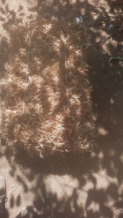 Pres прес  loviyani poyasi fasol фасоль прес