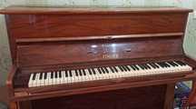 "Finger" rusumli fortopiano