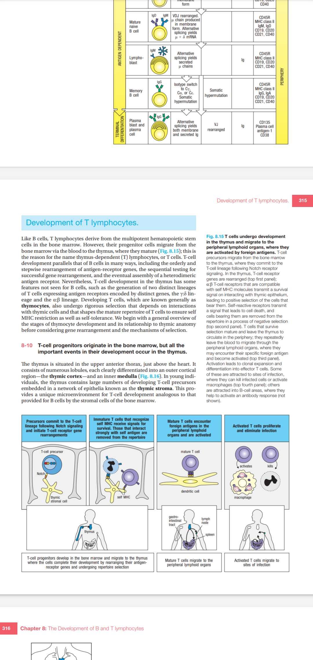 Pdf Imunologie janeway