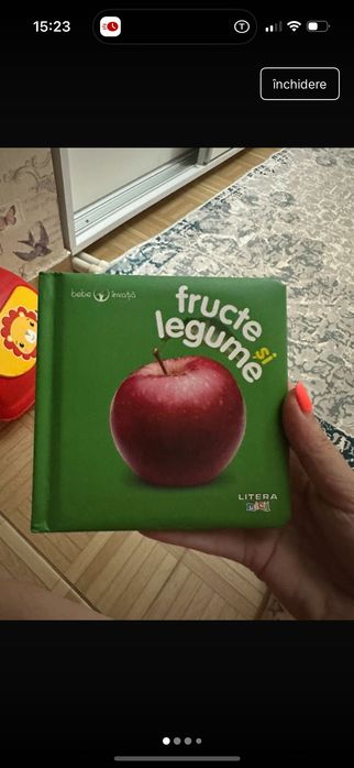 Carte cu fructe colorata