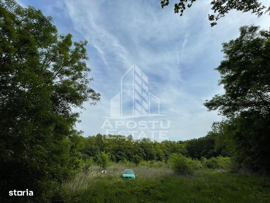 Proprietate unica in padurea de la Bazosul Nou.