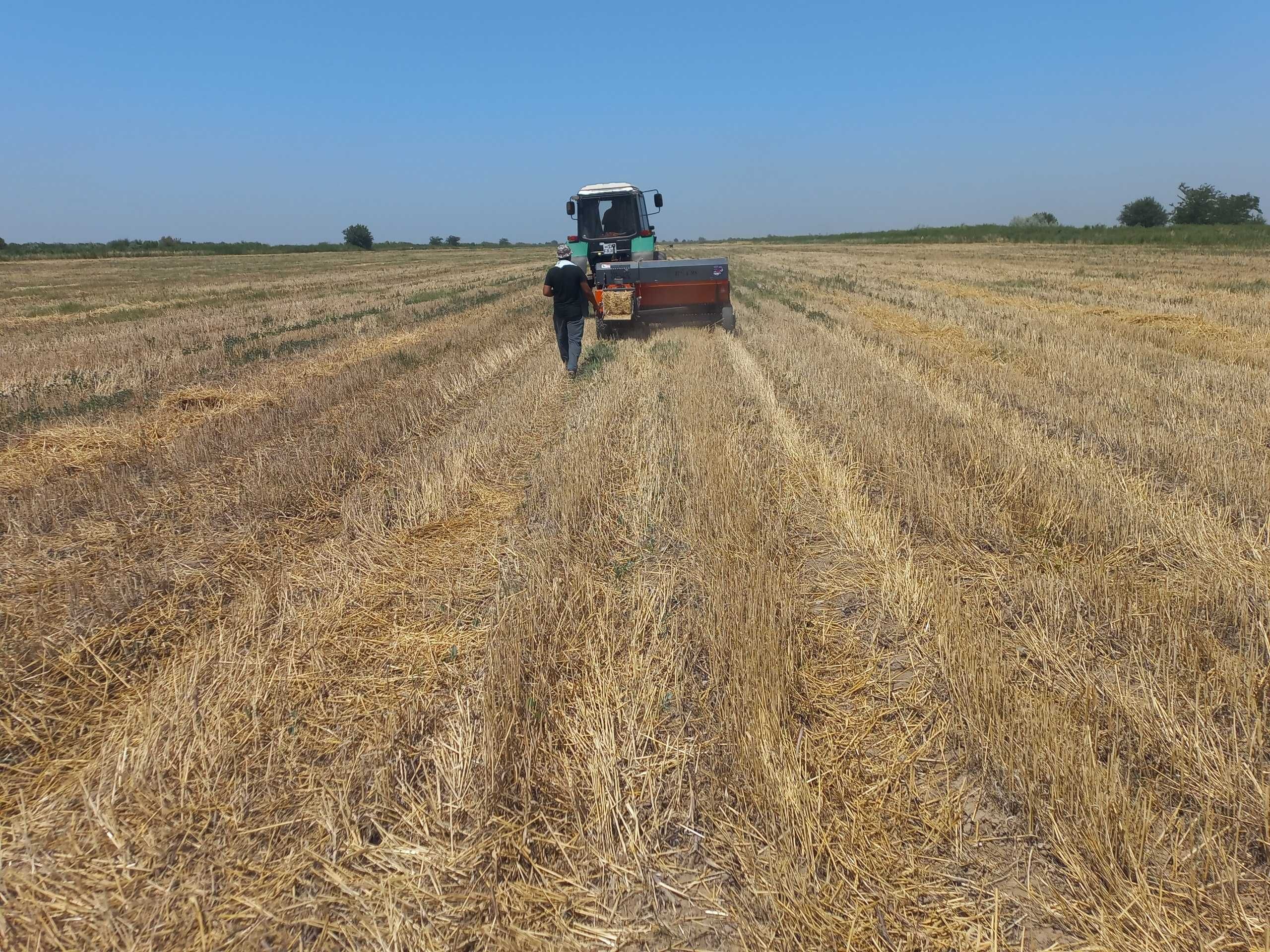 Press podborshik RSA 98 - 200 mln