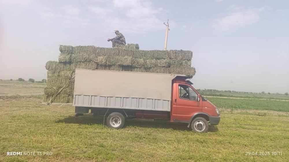 Газель сотилади холати яхши