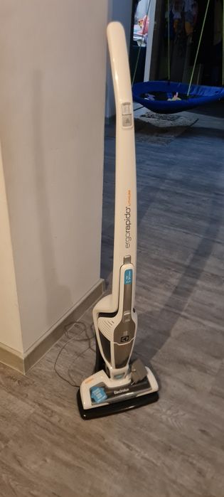 Vând aspirator Electrolux ergorapido