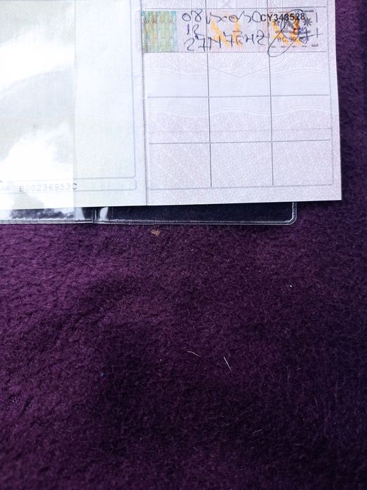 Remorcă REMA înmatriculată