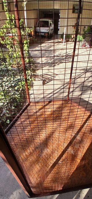 Valer har xil turdagi qushlar uchun.