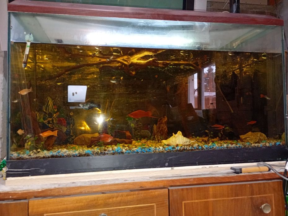 Vând acvariu de 180 l