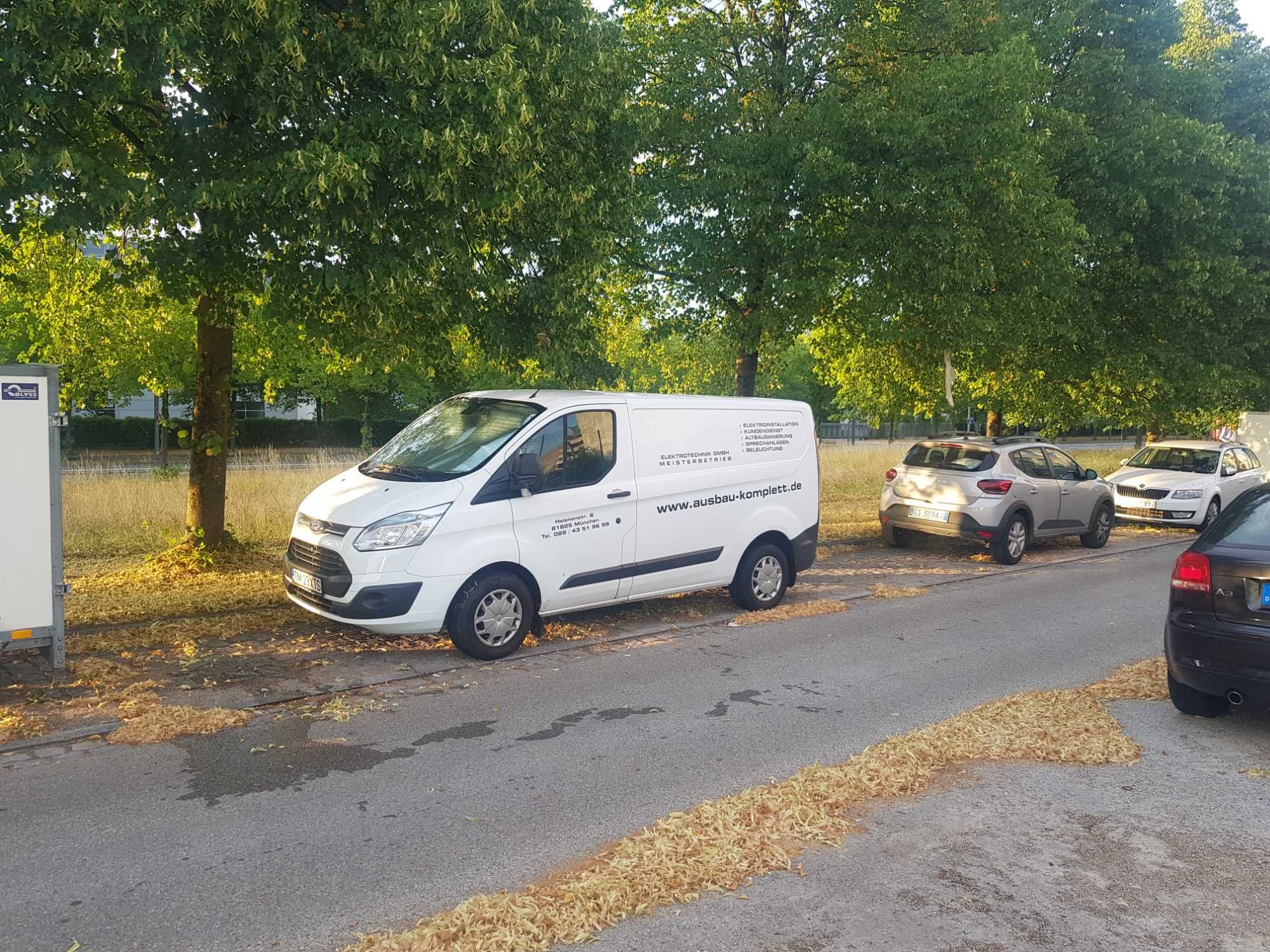 Ford Transit custom