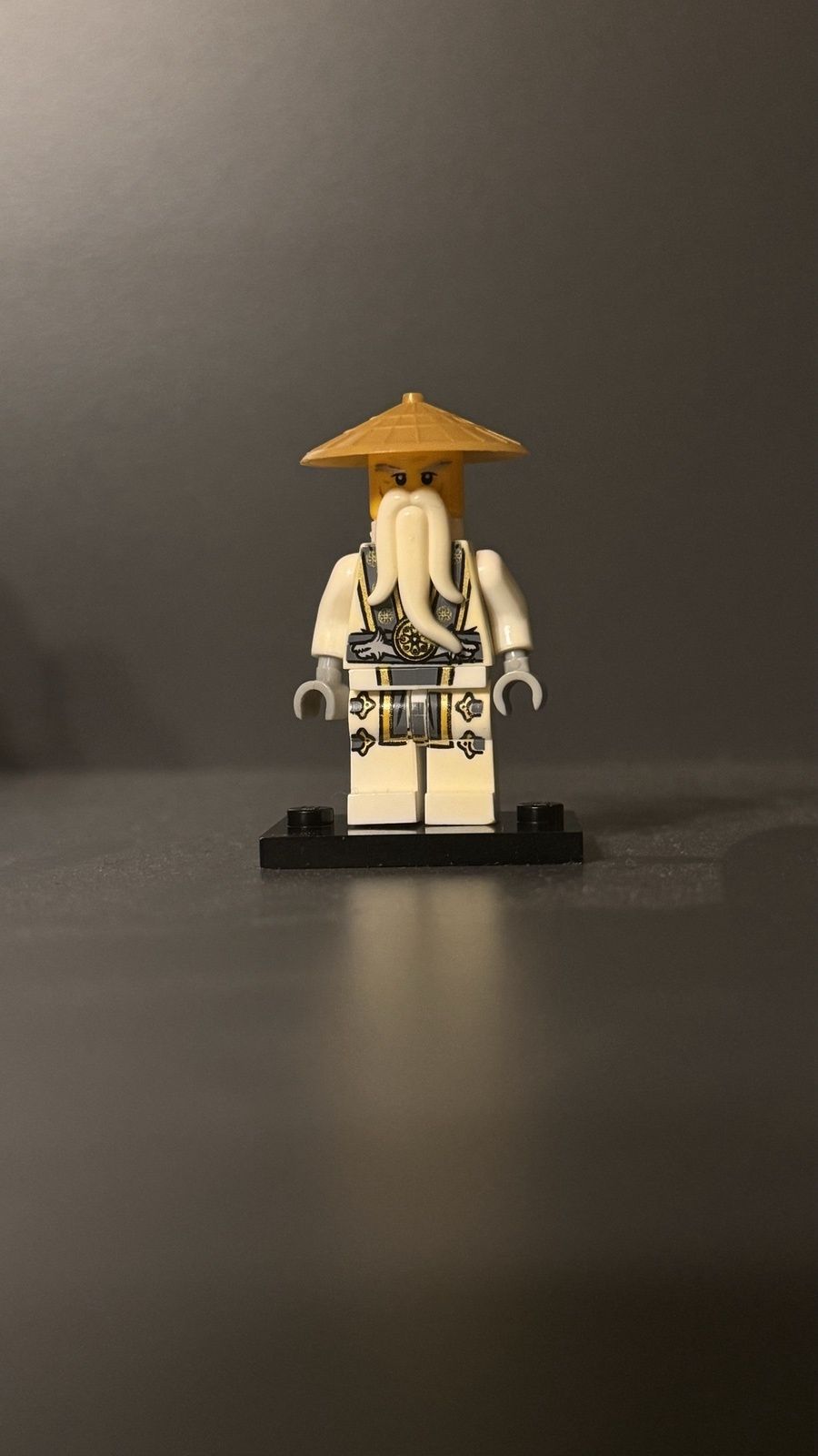 Sensei Wu 2015 (Sensei Wu Ninja Dragon)