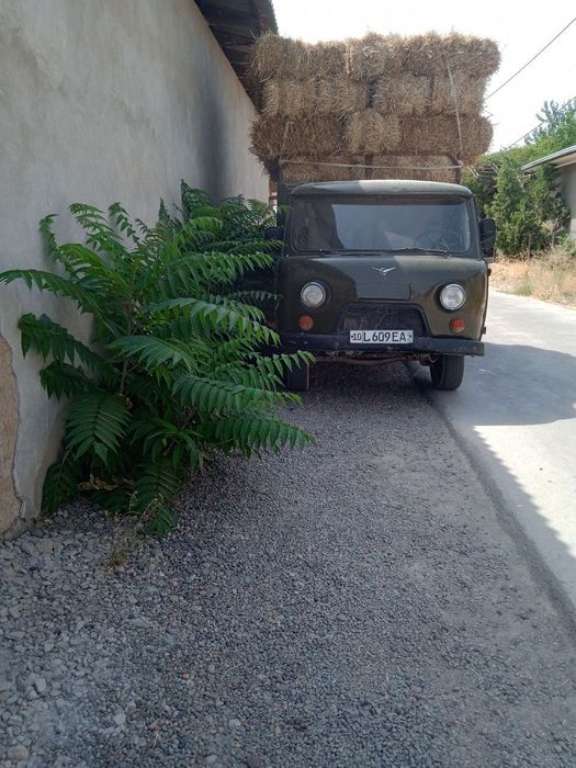 Холати яхши хамма ишлари килиб минишга тайёр холда.