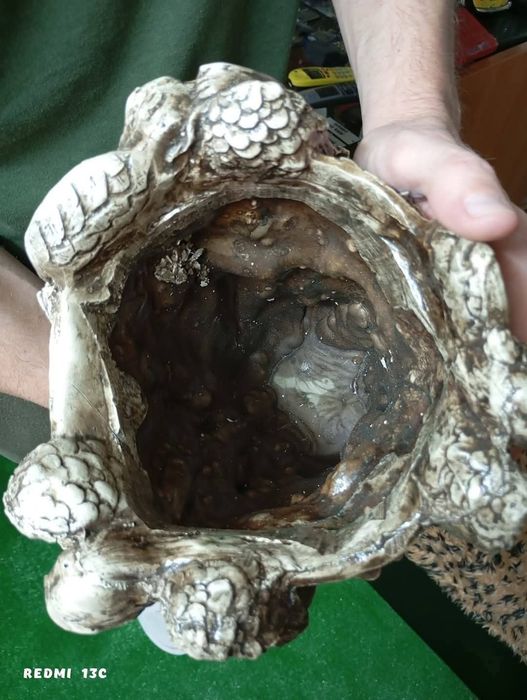 Прекрасна Ваза..