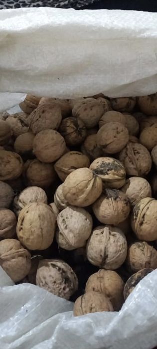 Грецкие орехи орехи