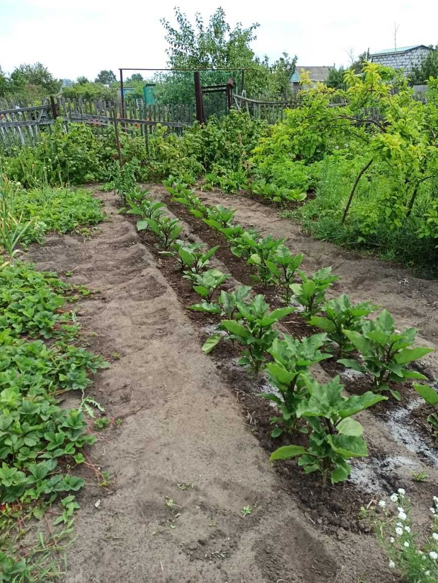 Продам дачу 7 соток в с/о Краснопартизанское