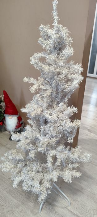 Бяла коледна елха