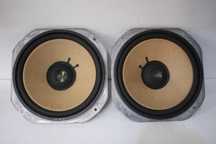 Difuzoare bas Yamaha,25cm,40W,4Ohm(JA-2502).