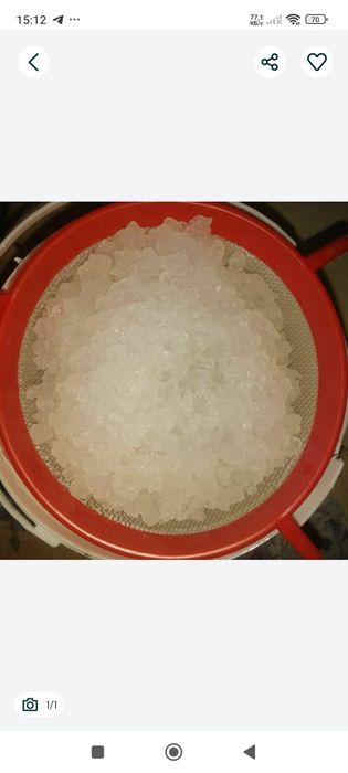 Индийский морской рис