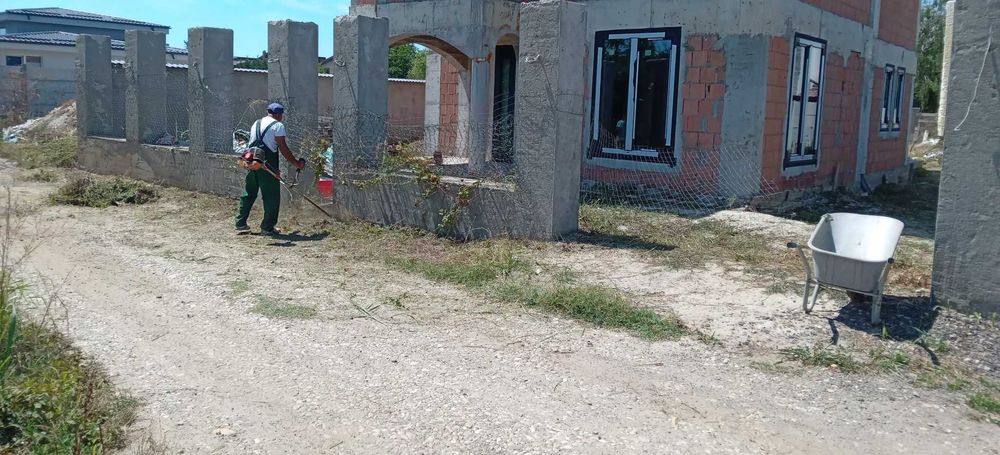Tuns Iarba Gazon
