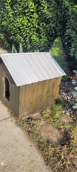 Cușcă cățel/coteț talie medie-mare