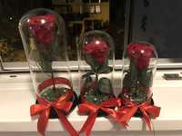 Cadou 1-8 MARTIE Trandafir criogenat in cupola de sticla