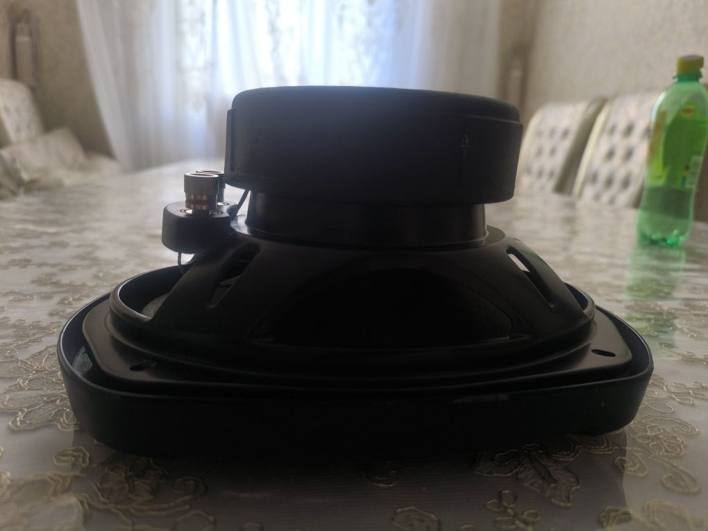 Pioneer chempion