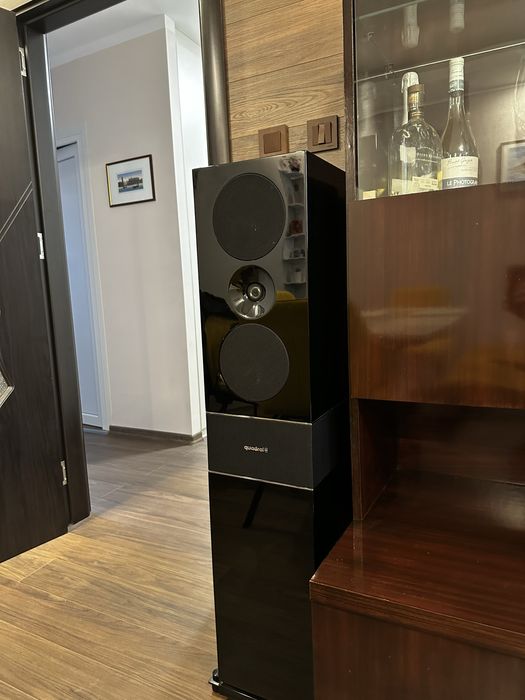 Quadral Platinum+ nine тонколони